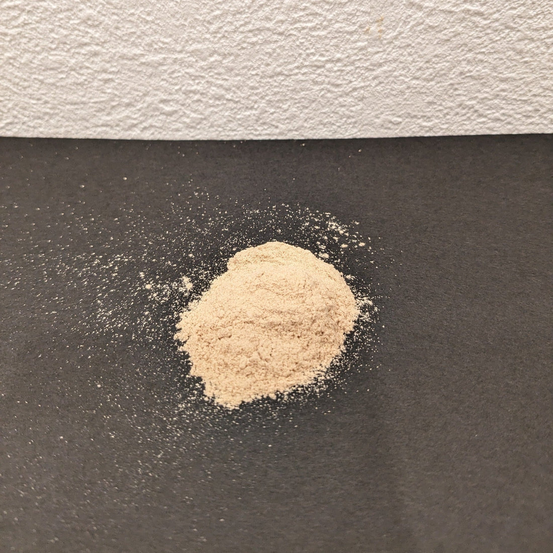 素材評価・試作向けに｜樹種別木粉（109μm以下／109–350μm）の販売を開始しました