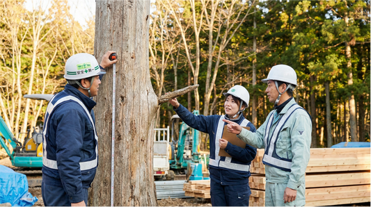 思い出の木を、新しいカタチに。伐採される木々の活用法